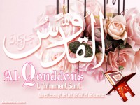 /album/galerie-photos/c44d1570-jpg/