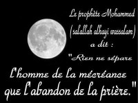/album/galerie-photos/a1038395158-jpg/